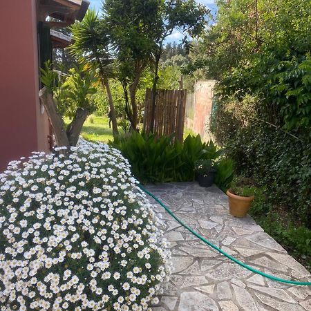 파라모나스 Casa Piccolino 빌라 외부 사진